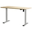 Artiss Standing Desk Motorised 120CM White Oak
