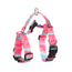 Banhamsisun M Marble Pink Dog Double-Lined Straps Harness and Lead Set Leash Adjustable No Pull