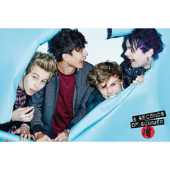 5 Seconds of Summer- Rip Poster