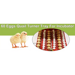 Electric 60 Egg Incubator + Accessories Hatching Eggs Chicken Quail Duck