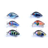 6x 3cm Popper Crank Bait Fishing Lure Lures Surface Tackle Saltwater