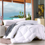 HOTEL QUILT DOONA - 400 GSM, DOUBLE  SIZE