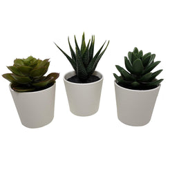 3 Pack of Artificial Succulent Potted Plants in White Plastic 6cm Pot Interior Decoration