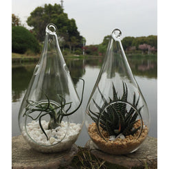 4 Pack of Hanging Clear Glass Tealight Candle Holder Tear Drop Pear Hour Glass Shape - 20cm High Terrarium Plant Mini Garden Holder Decoration Craft Gift