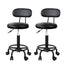 Artiss 2x Salon Stool Swivel Chair Backrest