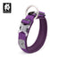 Whinhyepet Collar purple - XL