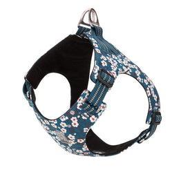 Floral Doggy Harness Saxony Blue 3XS