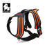 Reflective Heavy Duty Harness Orange XL