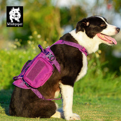 Whinhyepet Military Harness Purple L