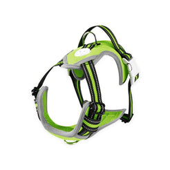 FLOOFI Dog Harness Vest M Size (Green) FI-PC-170-XL