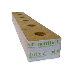 Nutrifield 6-Pack 100x100x65mm Stonewool Blocks - Optimal Root Development & Disease Reduction