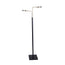 Sarantino LED Metal Floor Lamp with 2 Lights in Brushed Gold and Black Finish