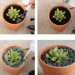 6cm Ceramic Flower Pot Set - 10 Pots for Succulents, Cacti, and Seedlings