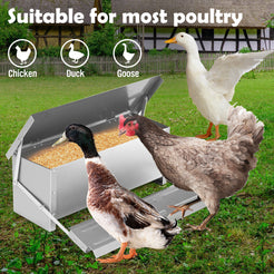 10KG Rust-Proof Steel Automatic Chicken Feeder - Keeps Feed Clean and Fresh