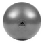 Adidas Gym Ball with Pump Exercise Yoga Fitness Pilates Birthing Training 55cm